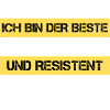 Informaticien résistant