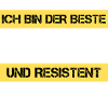 Auteur résistant
