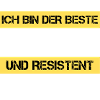 Musicien résistant