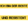 Resistenter Manager