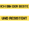 Resistenter Architekt