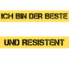 Mécanique résistante