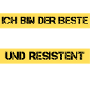 Resistenter Schreiner