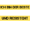 Resistenter Buchhalter