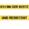 Resistant welder