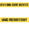 Capitaine résistant