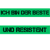 Informaticien résistant