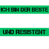 Resistenter Lagerist