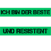 Resistenter Dachdecker