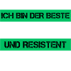 Architecte résistant