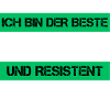 Resistant polisher