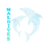 Malediven Delfine Maldives Dolphins