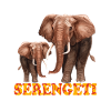 Serengeti-Elefant Serengeti Elephant