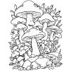 Fungi
