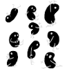 Bone