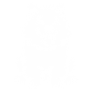 Samoyed Dog