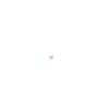Humour Chien Samoyède