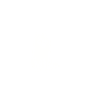 Humour Chien Samoyède