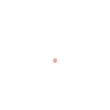 Humour Chien Samoyède