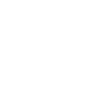 Chien Samoyède