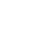 Chien Samoyède