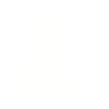 Samoyed