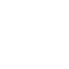 Pirate Steering Wheel