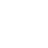 Année du Dragon 2024