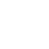 Année du Dragon 2024