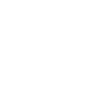 Année du Dragon 2024