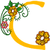 Blume30 C
