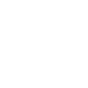 Année du Dragon 2024