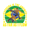 Capoeira Capoeirista