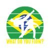 Capoeira Capoeirista