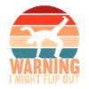 Capoeira Capoeirista