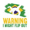 Capoeira Capoeirista
