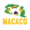 Capoeira Capoeirista