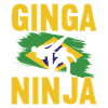 Capoeira Capoeirista