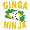 Capoeira Capoeirista