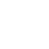 Gefährlicher Dino Velociraptor Dinosaurier