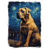 Presa Canario Starry Night