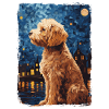 Lagotto Romagnolo Nuit étoilée