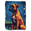 Boxer Nuit étoilée