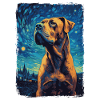 Presa Canario Starry Night