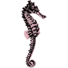 Seepferdchen