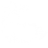 Requins polynésiens blancs