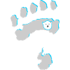 Eisbär 8