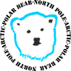 Eisbär 4