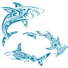 Requins polynésiens