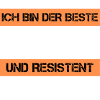 Peintre résistant